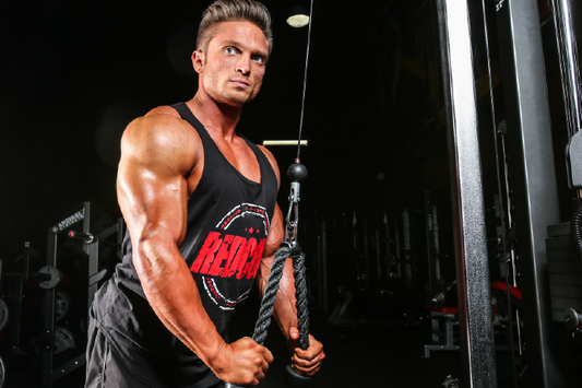 Put Massive Arms on Your Christmas List - The Holiday Starter Plan