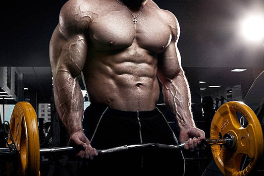 Stop the Yo-Yo, and Grow (muscles, not your gut)